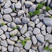 Hány kezelésre van szükség?