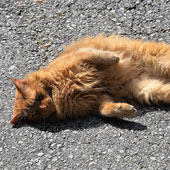 Hogyan érzem magam a kezelés után?